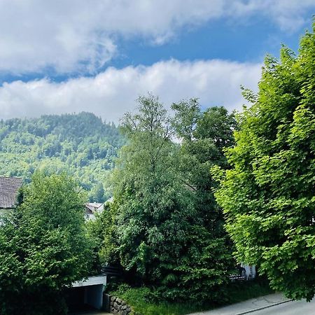 Gemutliches Apartment Mit Bergblick Im Herzen Von Immenstadt Im Allgau Bagian luar foto